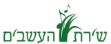 יבואן דשא סינטטי מומלץ